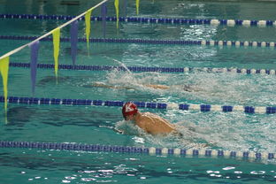 开云电竞服务-国际游泳精英赛中国队多人破纪录，国际游泳冠军系列赛